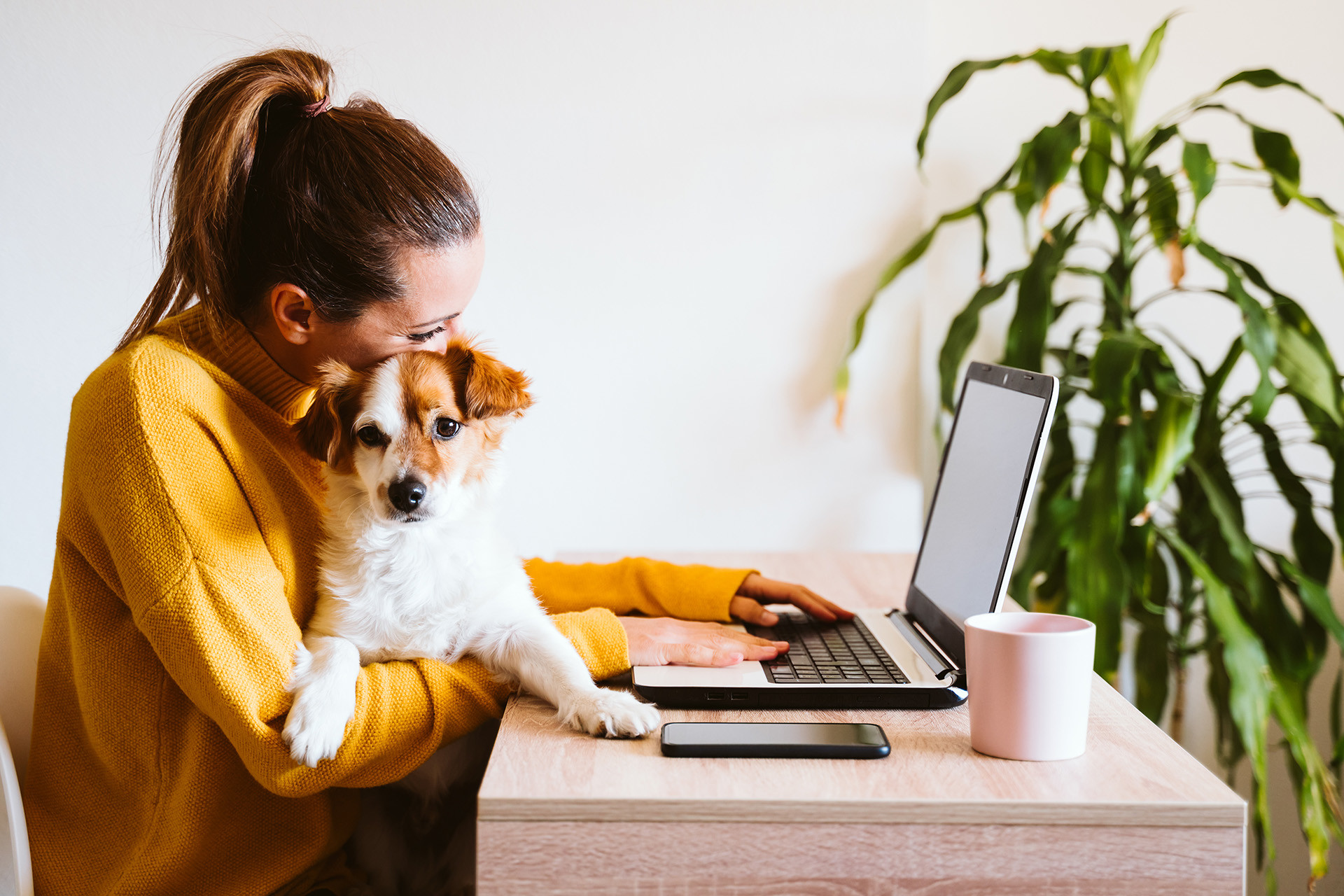 Owner and dog reading dog boarding testimonials on laptop